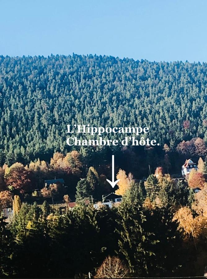 L'Hippocampe Appartement Wangenbourg-Engenthal Buitenkant foto